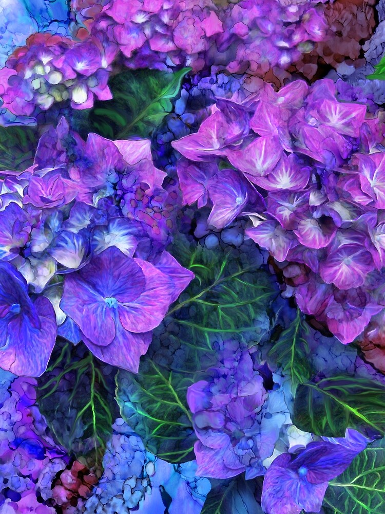 Wild Hydrangeas by carolcavalaris