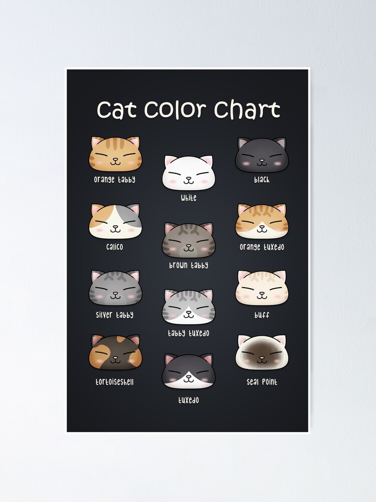 Just learned the color of my cat is called buff!!!! : r/cats