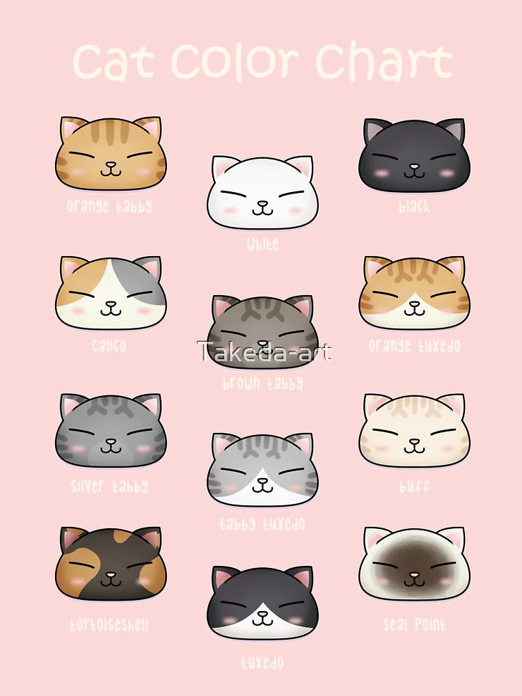 What Colour is the cutest cat?