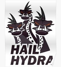 Hail Hydra Poster