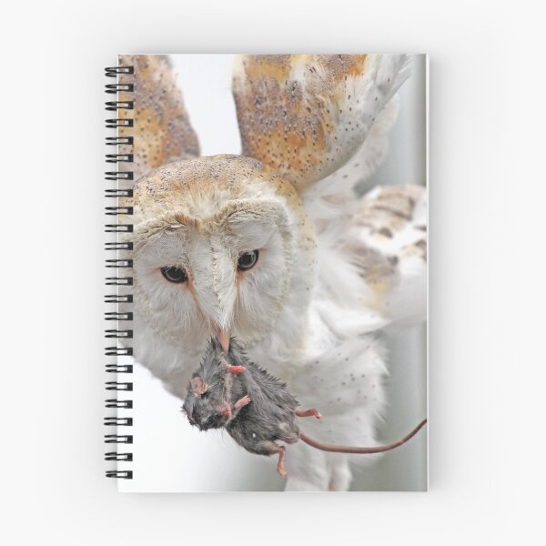 Item preview, Owl Hunter designed and sold by BACPHOTOGRAPHY.