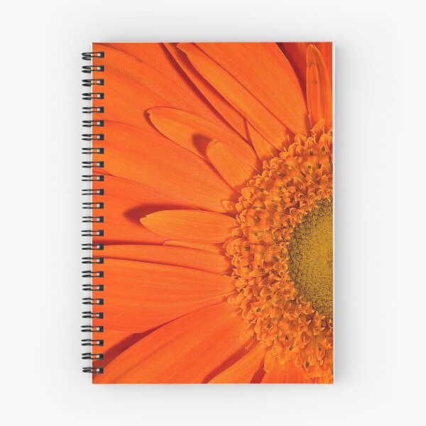 Item preview, Allow and Empower designed and sold by Adam Bykowski.