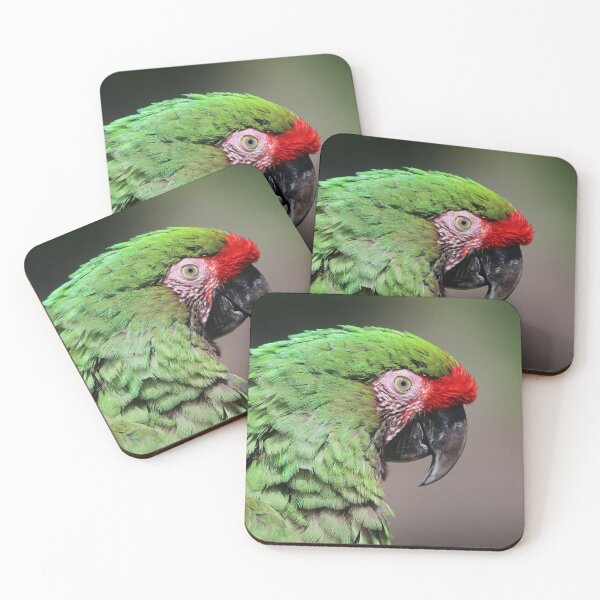 Item preview, Parrot portrait designed and sold by Melissa Peltenburg.