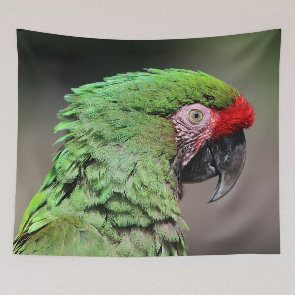 Item preview, Parrot portrait designed and sold by Melissa Peltenburg.