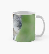 Eagle's Eye Mug