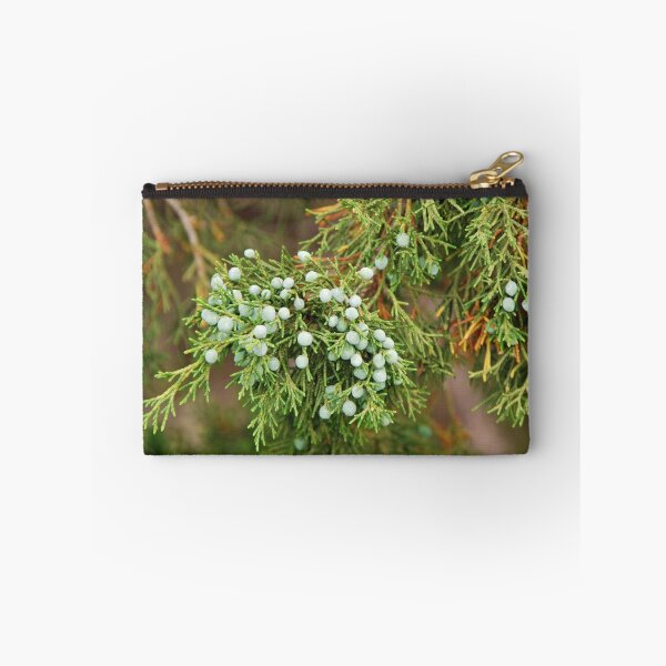 Item preview, Juniper Berries designed and sold by mcstory.