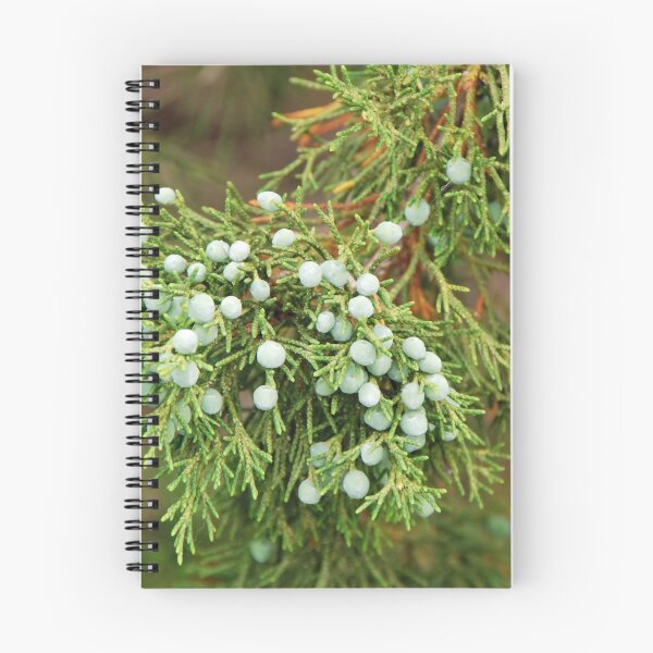 Item preview, Juniper Berries designed and sold by mcstory.
