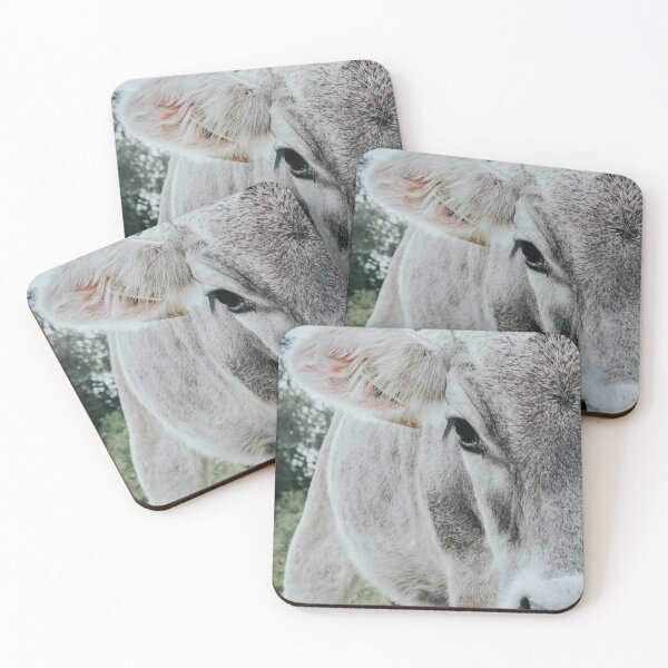 Item preview, Cow close-up designed and sold by Melissa Peltenburg.