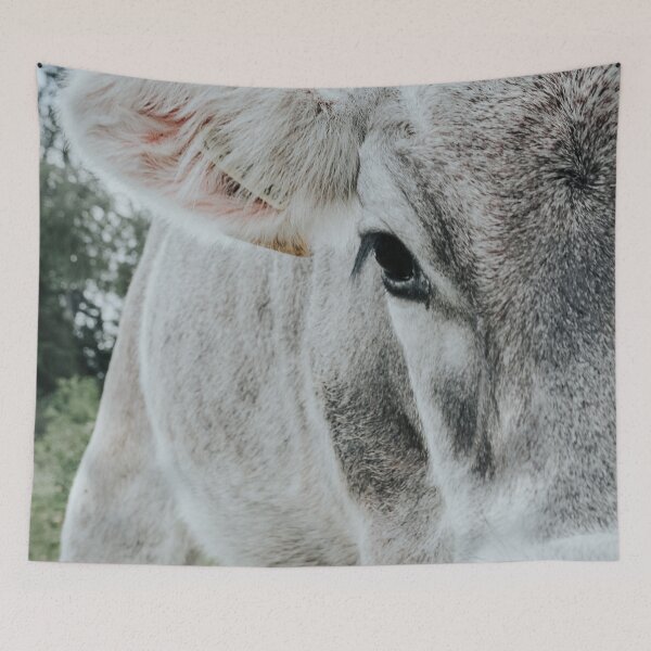 Item preview, Cow close-up designed and sold by Melissa Peltenburg.