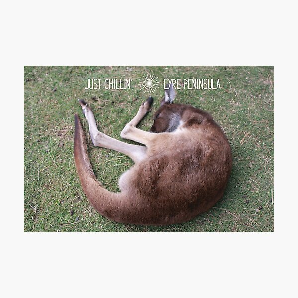 Item preview, Eyre Peninsula - Just chillin' designed and sold by TwoShoes.