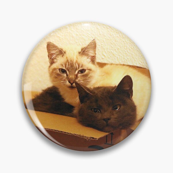 Item preview, Delivered on time by the parcel service - the kitten package designed and sold by NW-Photo-Art.