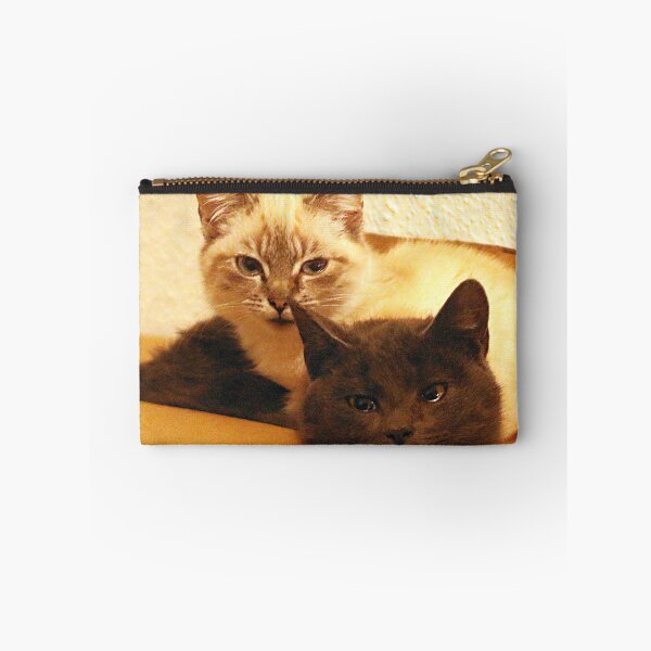 Item preview, Delivered on time by the parcel service - the kitten package designed and sold by NW-Photo-Art.