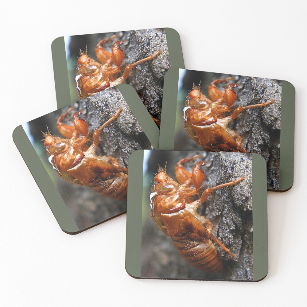 Item preview, Coasters (Set of 4) designed and sold by phillecren.