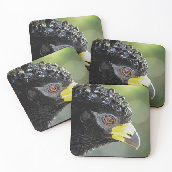 Item preview, Interesting hairstyle of the hokko chicken designed and sold by Ingo Gerlach.