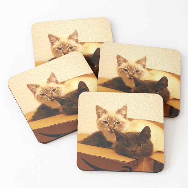 Item preview, Delivered on time by the parcel service - the kitten package designed and sold by NW-Photo-Art.
