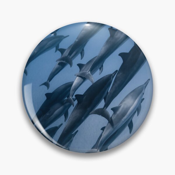 Item preview, Dolphin Sticker Pack 3 designed and sold by thatsit-itslit.