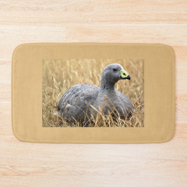 Item preview, Cape Barren Goose (1) designed and sold by Phil Le Cren.