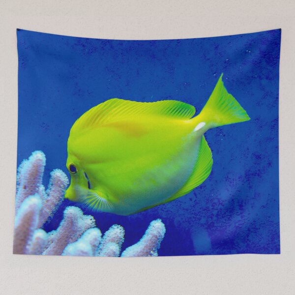 Item preview, Yellow fish (Photo: Sabine Braun) designed and sold by AmilysFriends.