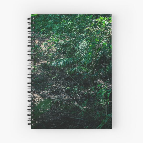 Item preview, Abandoned Jungle Path designed and sold by spencer-r.