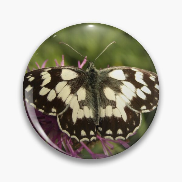 Item preview, Butterfly 3 designed and sold by Guardi71.