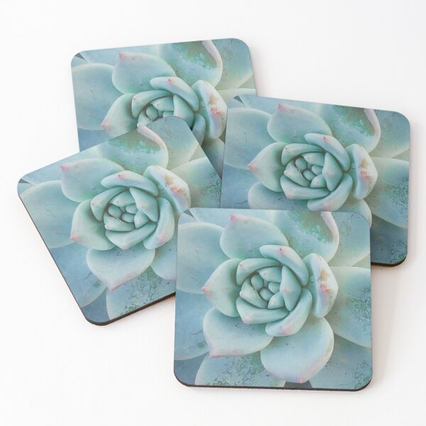 Item preview, green succulent - cactus plant designed and sold by Youandthenorth.
