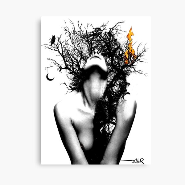wisdom & fire Canvas Print