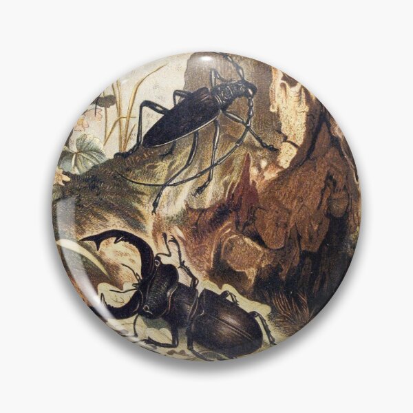Artikelvorschau, stag-beetle and longicorn beetle vintage illustration  entworfen und verkauft von Vintage Designs +.