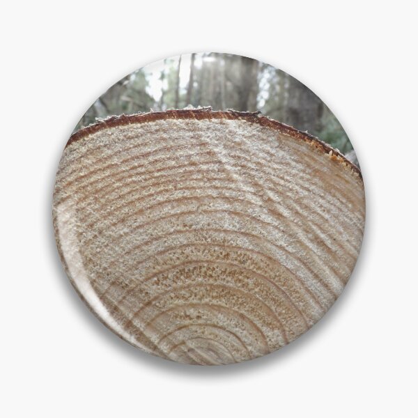 Item preview, Pine Rings designed and sold by abbiesacres.