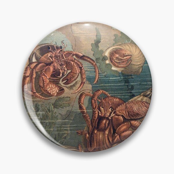 Item preview, Hermit Crabs vintage art designed and sold by Vintage Designs +.