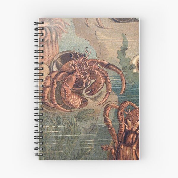 Item preview, Hermit Crabs vintage art designed and sold by Vintage Designs +.