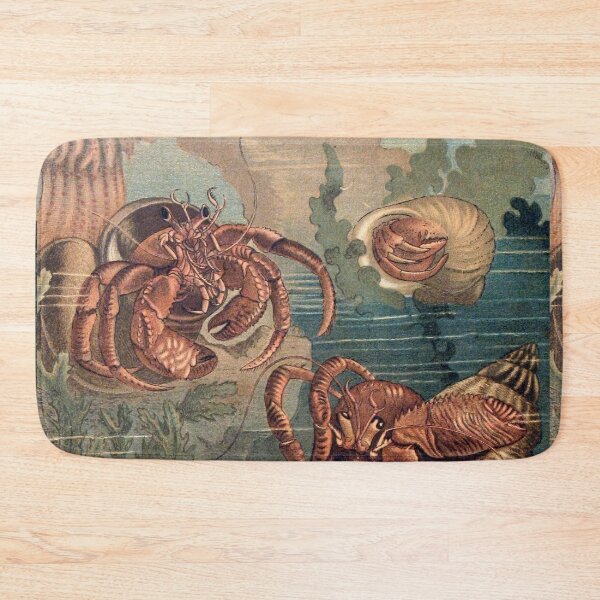 Item preview, Hermit Crabs vintage art designed and sold by Vintage Designs +.