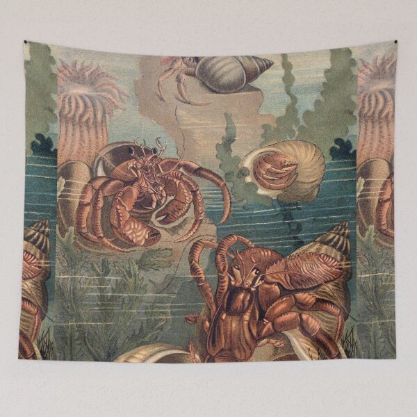 Item preview, Hermit Crabs vintage art designed and sold by Vintage Designs +.