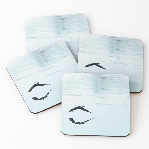 Item preview, silent flight designed and sold by Murph's Images.