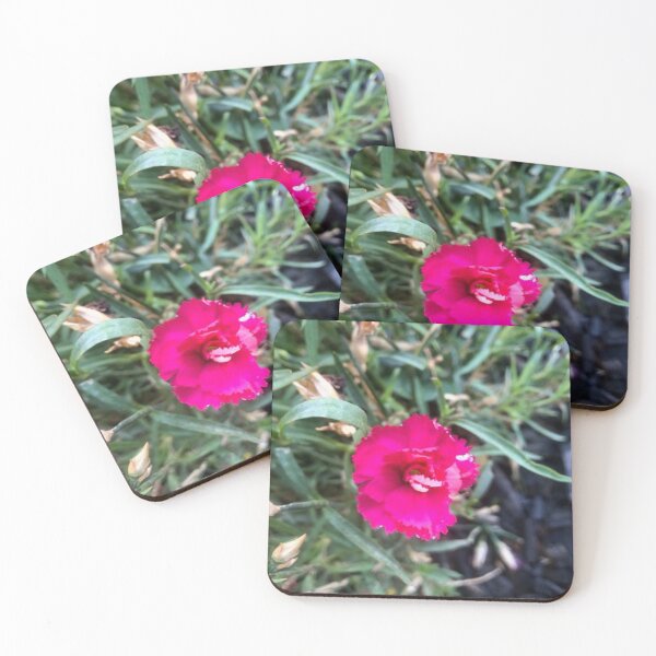 Item preview, Pink Bloom designed and sold by Vanessa Mc Gregor.