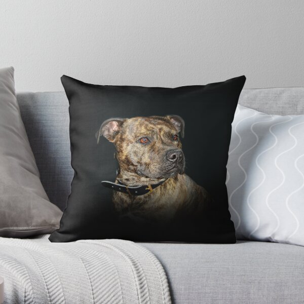 16x16 Multicolor Vintage Dog 70s 80s Pet Classic Old School Vintage Yorkshire Terrier Retro Pet Lover 70s 80s Sunset Throw Pillow 16x16 Multicolor Vintage Dog 70s 80s Pet Classic Old School Vintage Yorkshire Terrier Retro Pet Lover 70s 80s Sunset Throw Pillow
