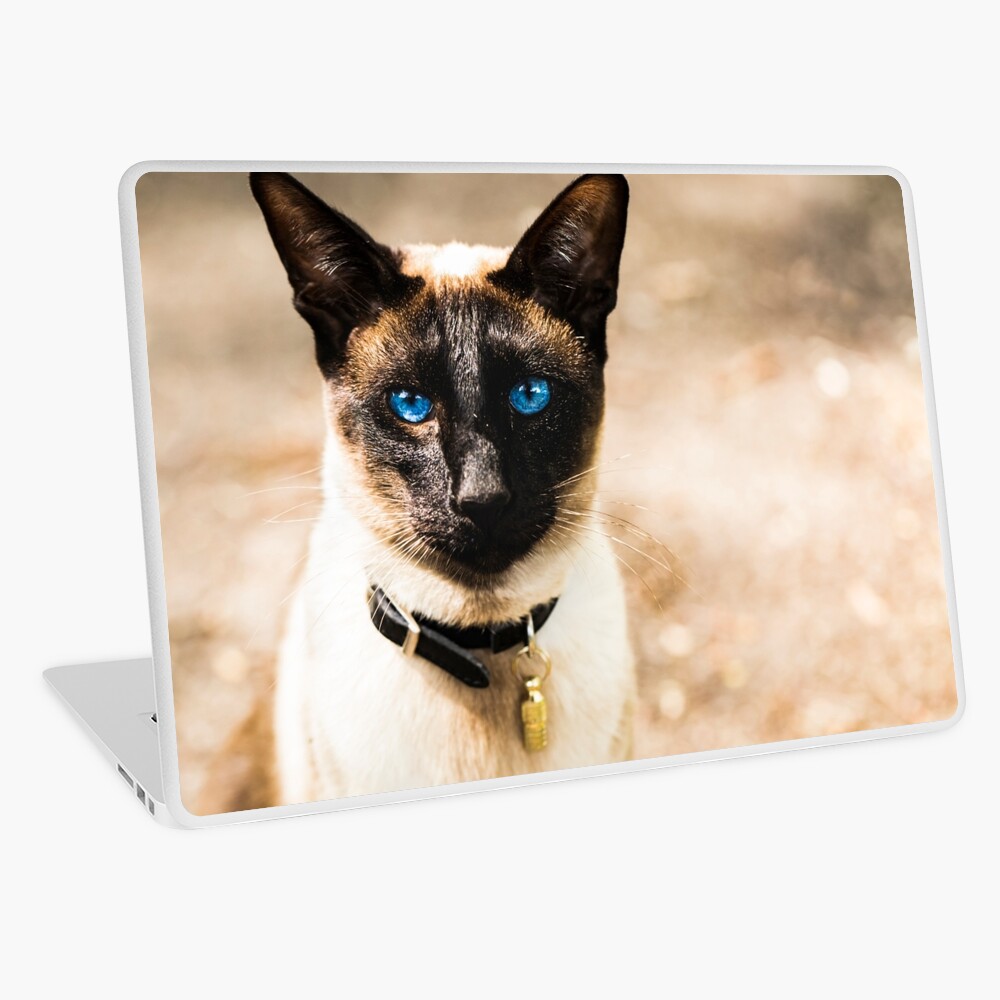 Item preview, Laptop Skin designed and sold by AYatesPhoto.
