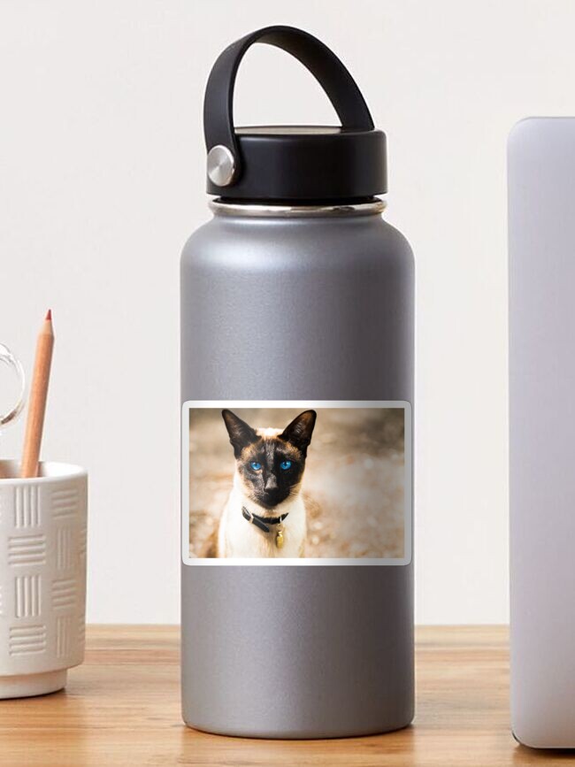 Thumbnail 1 of 3, Sticker, Siamese cat portrait designed and sold by AYatesPhoto.