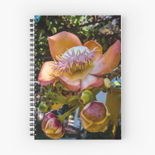 Item preview, La Flor Sala designed and sold by TCPhotoStore.