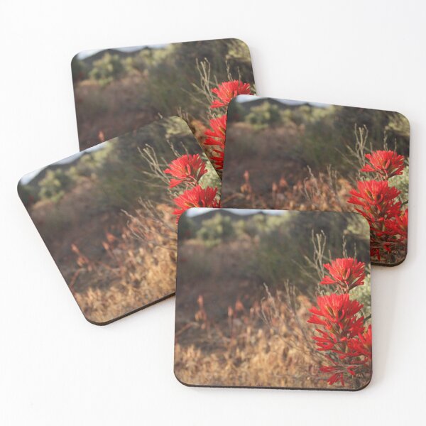 Item preview, Indian Paintbrush designed and sold by Steven Sullivan.