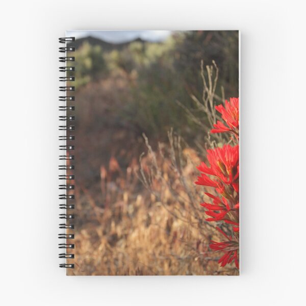 Item preview, Indian Paintbrush designed and sold by Steven Sullivan.