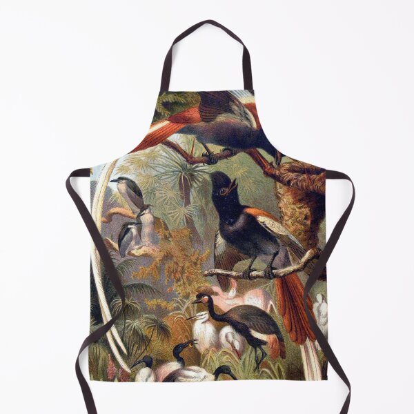 Aperçu de l'œuvre Paradise flycatchers vintage illustration artwork créée et vendue par Vintage Designs +.