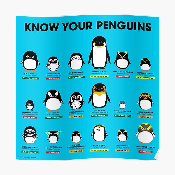 Kennen Sie Ihre Pinguine Poster