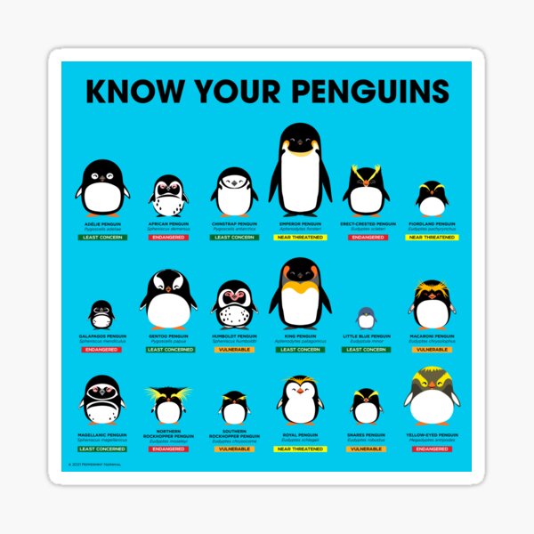 Artikel-Vorschau von Kennen Sie Ihre Pinguine, designt und verkauft von Peppermint Narwhal.