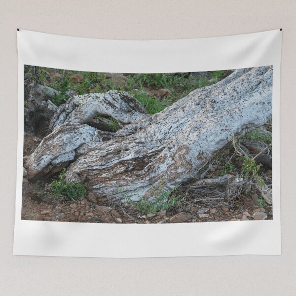 Item preview, Shepard's tree trunk designed and sold by Rudi Venter.