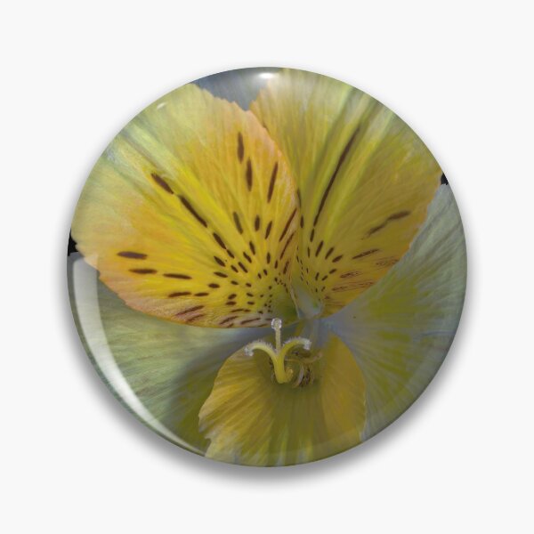 Item preview, Lily of the Incas designed and sold by Feltonmackem.