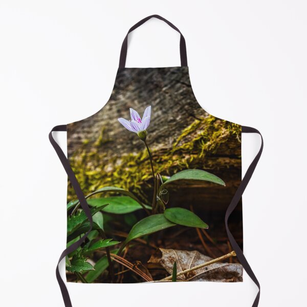 Item preview, Spring Beauty Flower designed and sold by Robert Alsop.