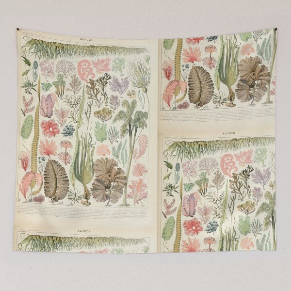Item preview, Adolphe Millot algues designed and sold by wetdryvac.