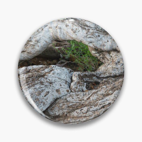 Item preview, Sheperd's tree trunk designed and sold by Rudi Venter.