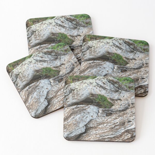 Item preview, Sheperd's tree trunk designed and sold by Rudi Venter.