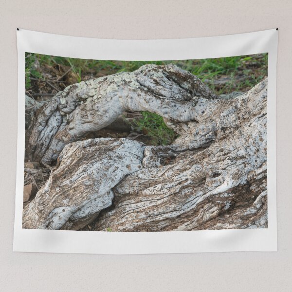 Item preview, Sheperd's tree trunk designed and sold by Rudi Venter.
